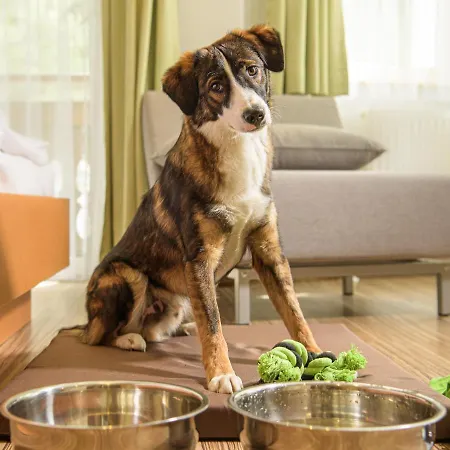 Grubers, Appartments Gastein Otel 3*