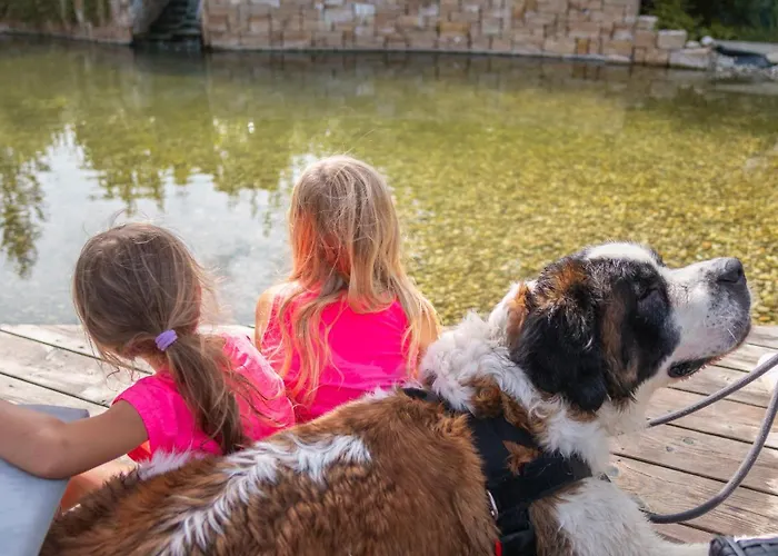 ホテル Grubers, Appartments Gastein 3*